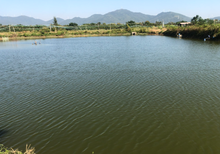 傳統(tǒng)水產(chǎn)養(yǎng)殖與循環(huán)水養(yǎng)殖優(yōu)缺點(diǎn)介紹(圖2)